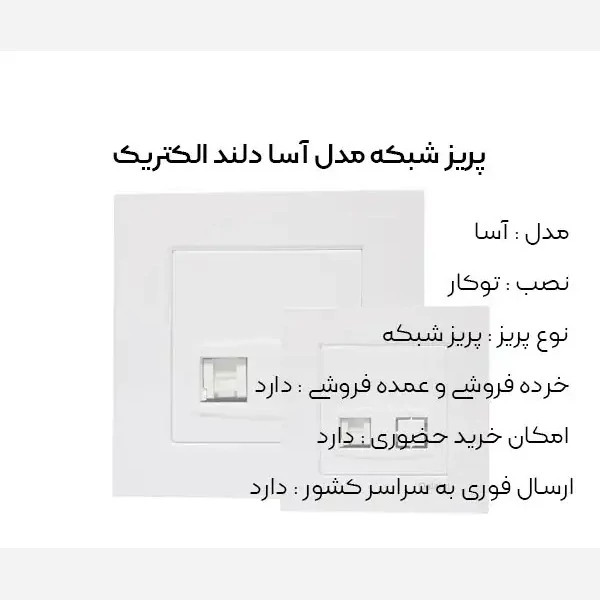 پریز شبکه سفید مدل آسا برند دلند الکتریک