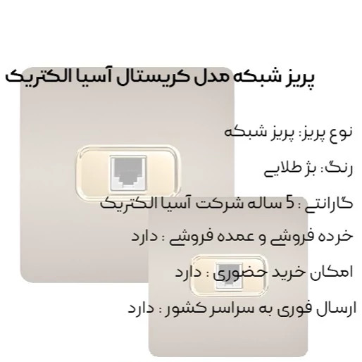 پریز شبکه بژ مدل کریستال آسیا الکتریک